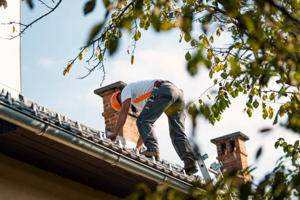 Best Roof Waterproofing Services  in Mahtomedi, MN